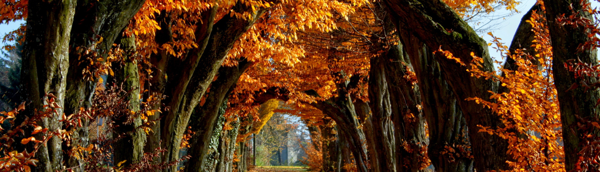Şimdi Alışveriş Zamanı %50'ye Varan İndirim